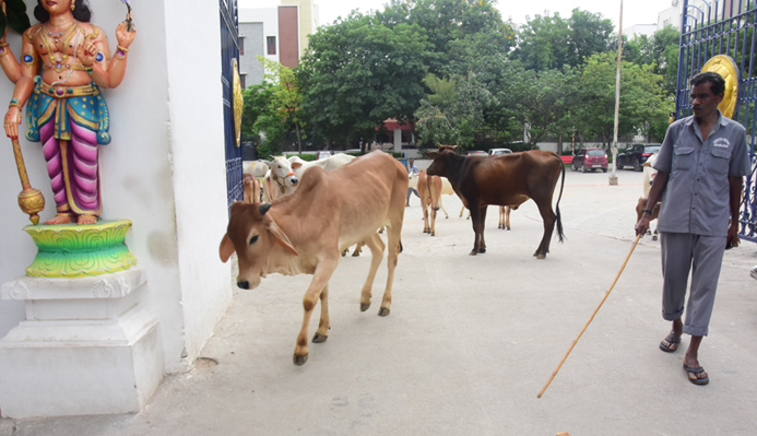 Brahmotsavam
